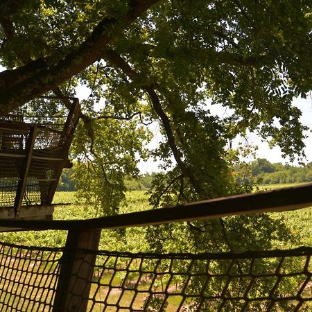 Cabanes De La Romaningue Pompignac Екстер'єр фото