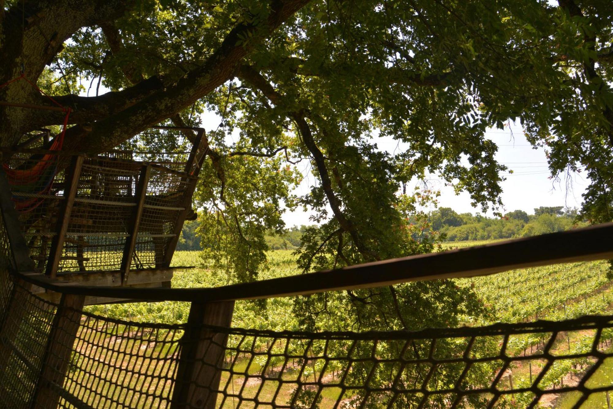 Cabanes De La Romaningue Pompignac Екстер'єр фото